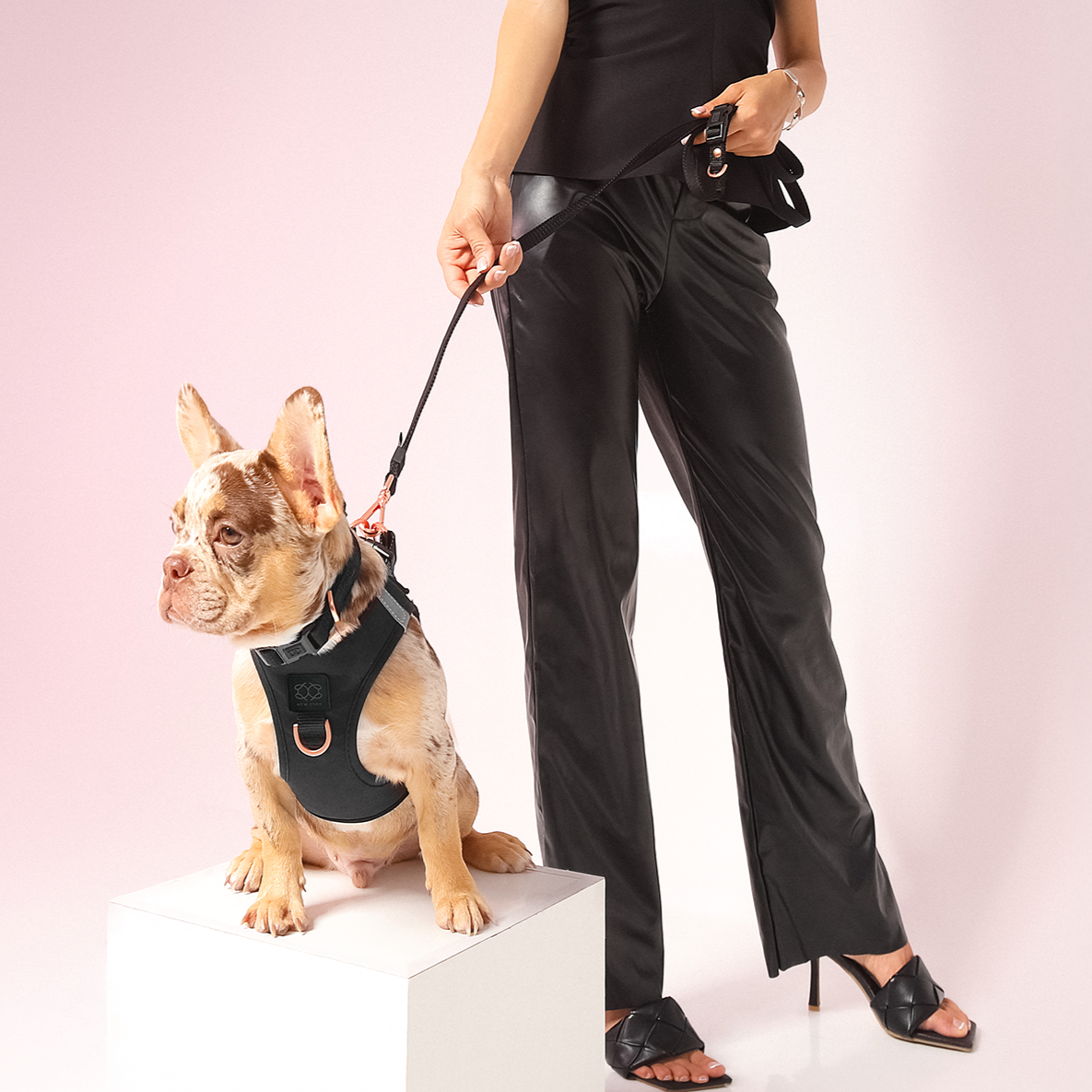 3-in-1 City Dog Leash - Black