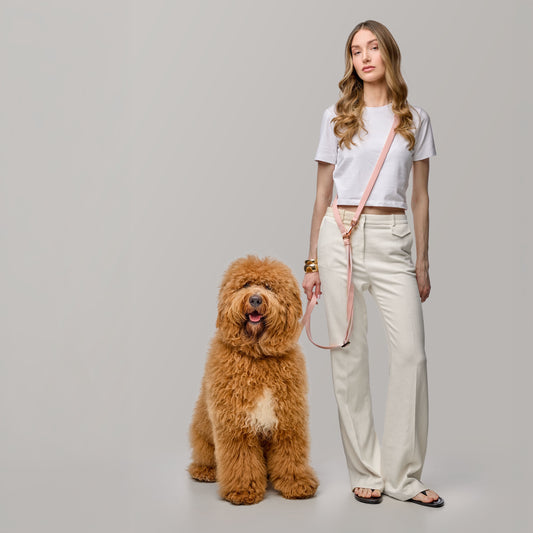 3-in-1 City Dog Leash - Blush