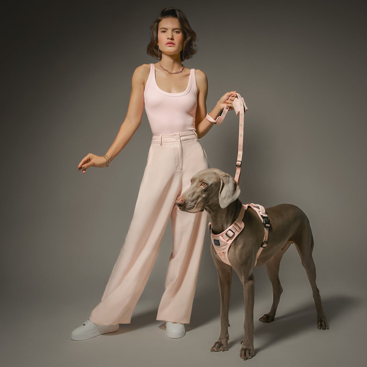 3-in-1 City Dog Leash - Sweetheart