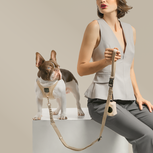 3-in-1 City Dog Leash - Dune