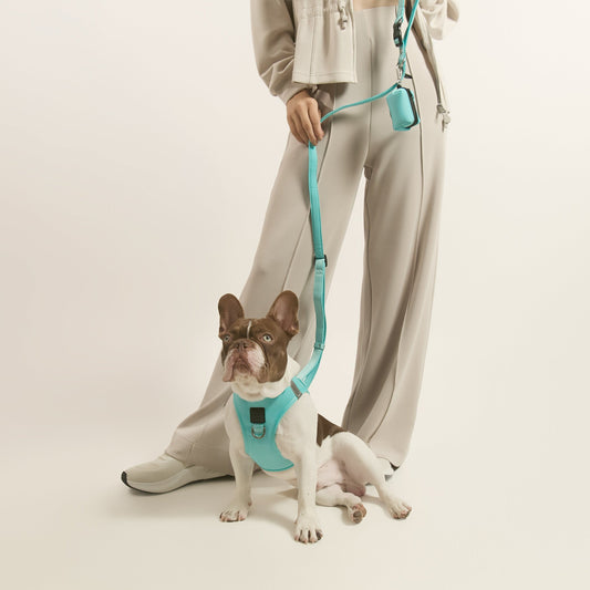 3-in-1 City Dog Leash - Fifth Avenue