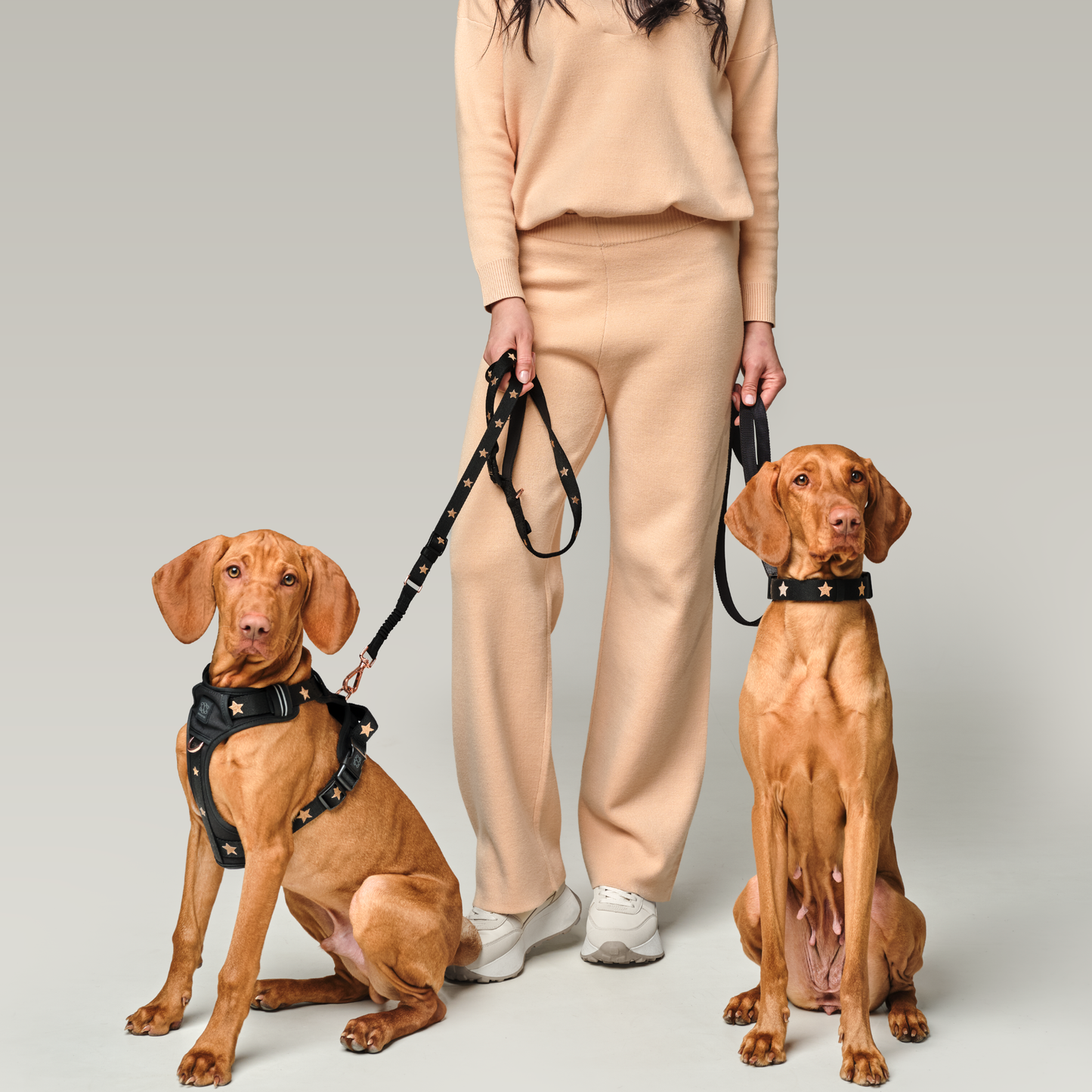 3-in-1 City Dog Leash - Rockstar