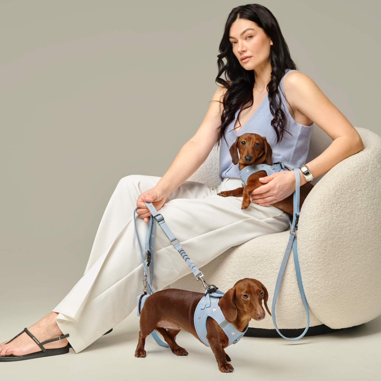 3-in-1 City Dog Leash - Rockstar Hudson