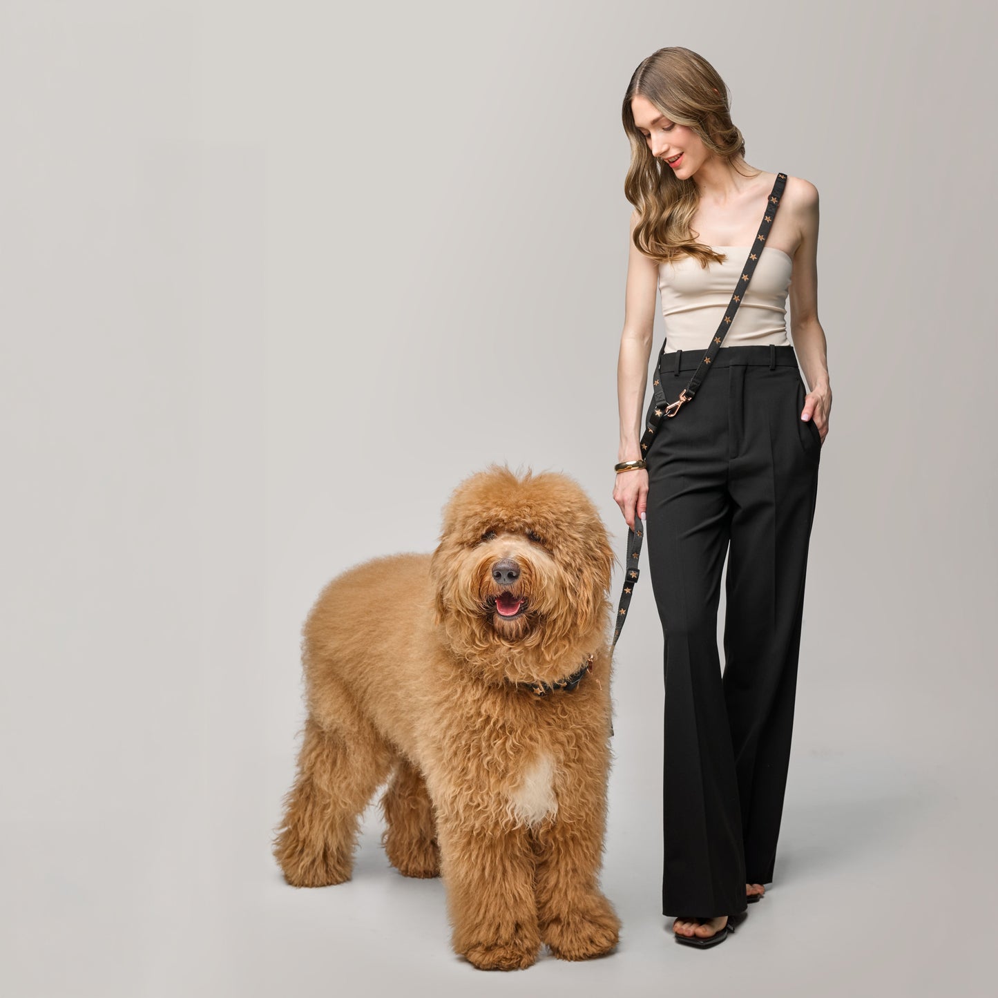 3-in-1 City Dog Leash - Rockstar