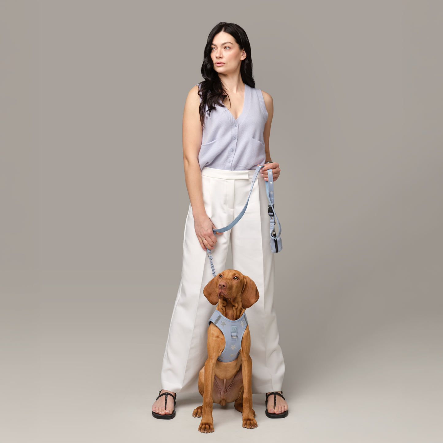 3-in-1 City Dog Leash - Rockstar Hudson