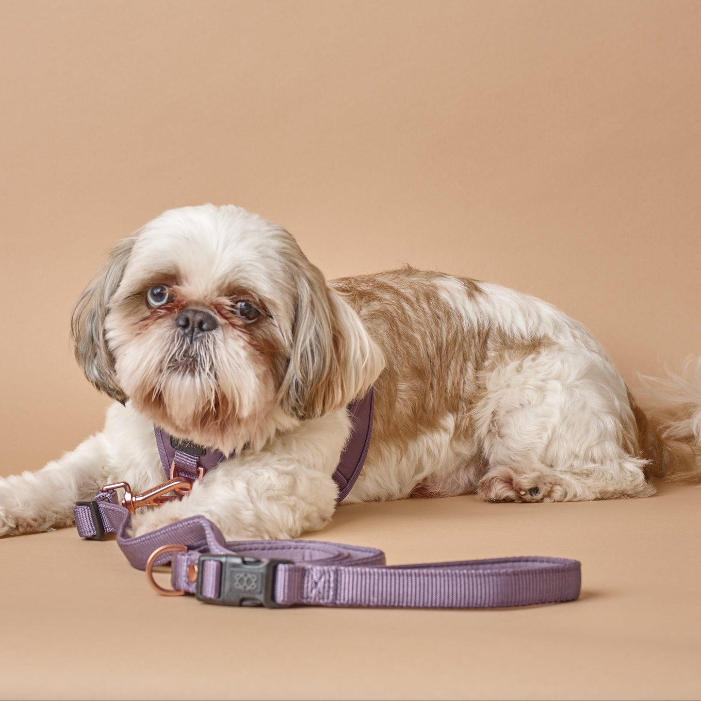 3-in-1 City Dog Leash - Lilac Gray