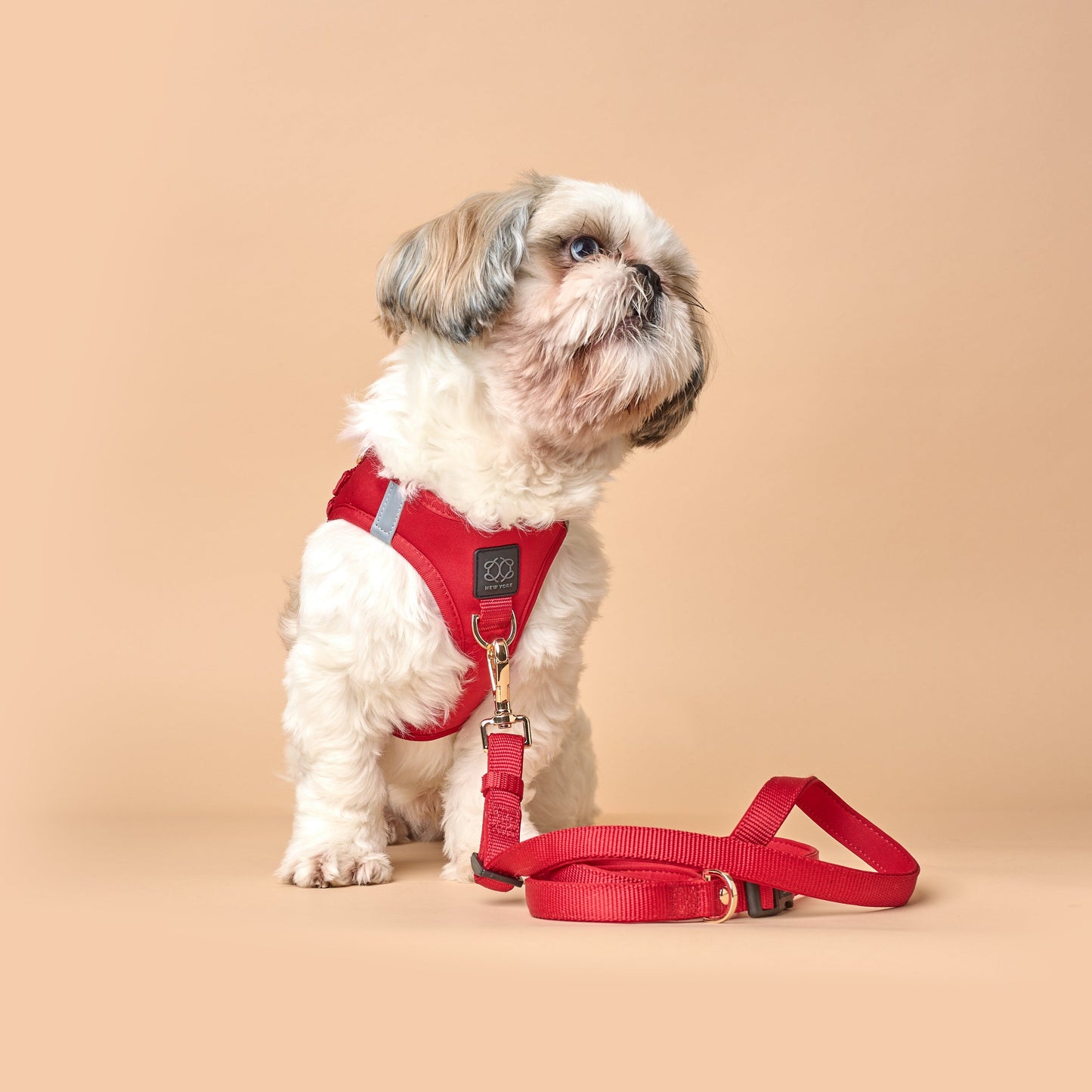3-in-1 City Dog Leash - Iconic Red