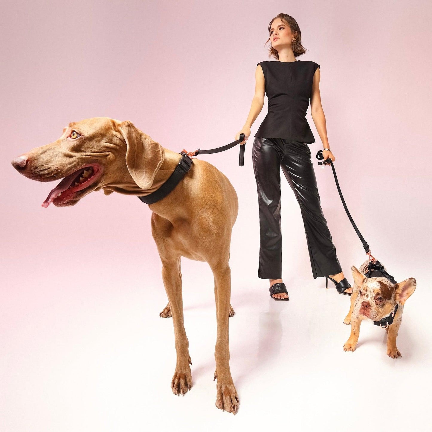 3-in-1 City Dog Leash - Black