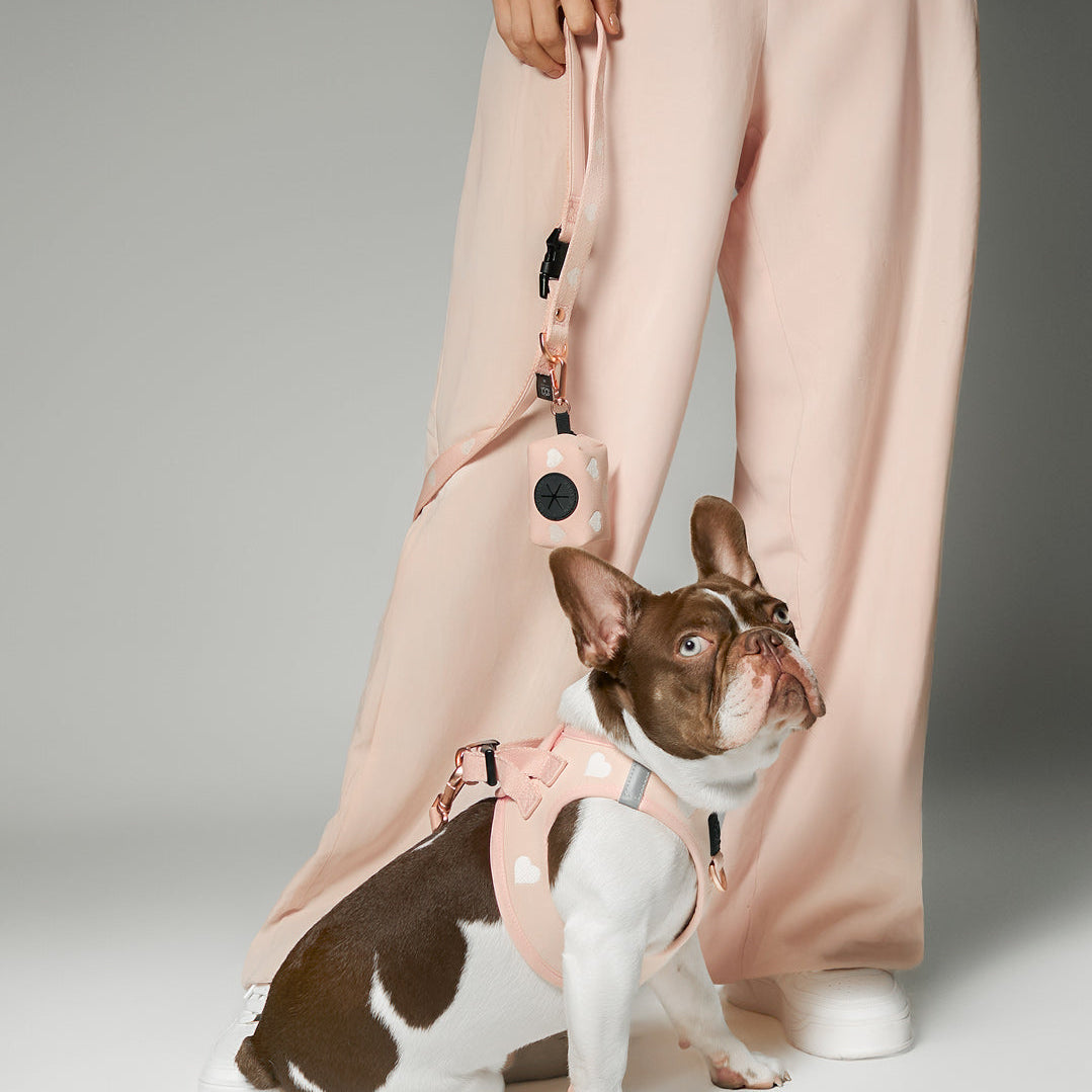 3-in-1 City Dog Leash - Sweetheart