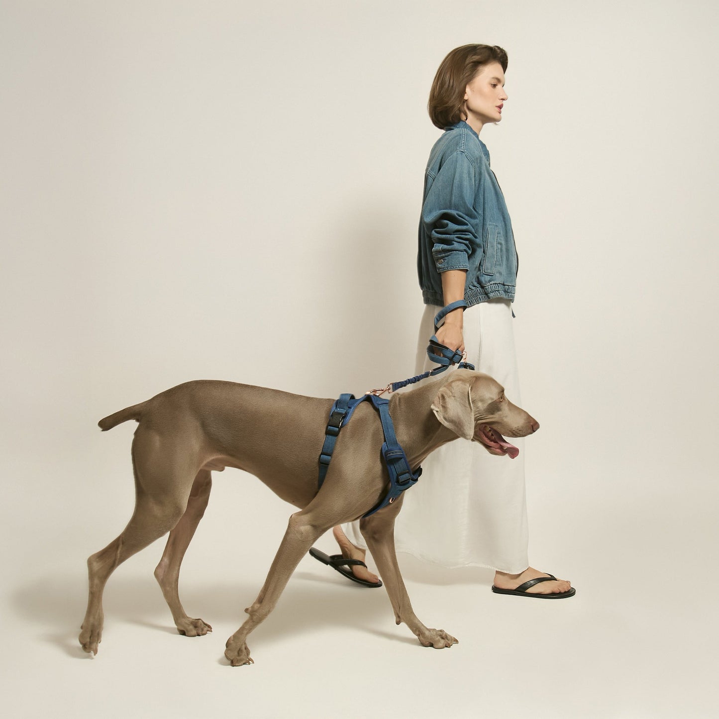 3-in-1 City Dog Leash - Denim