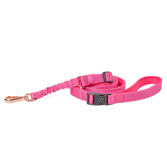 3-in-1 City Dog Leash - Park Ave Pink