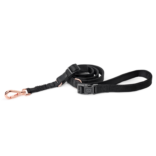 City Dog Leash - Solid Black for Small Rockstar