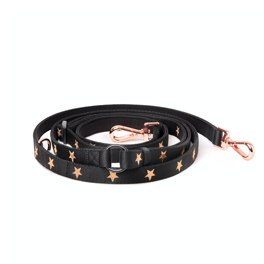Metro Hands Free Leash - Rockstar