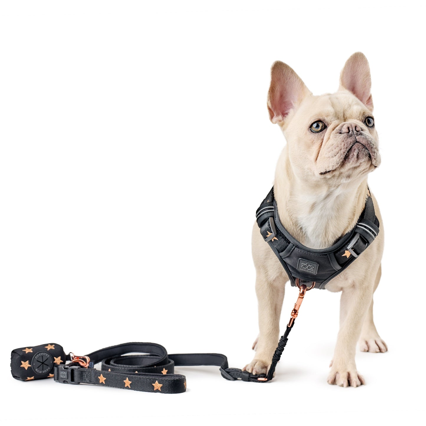 3-in-1 City Dog Leash - Rockstar
