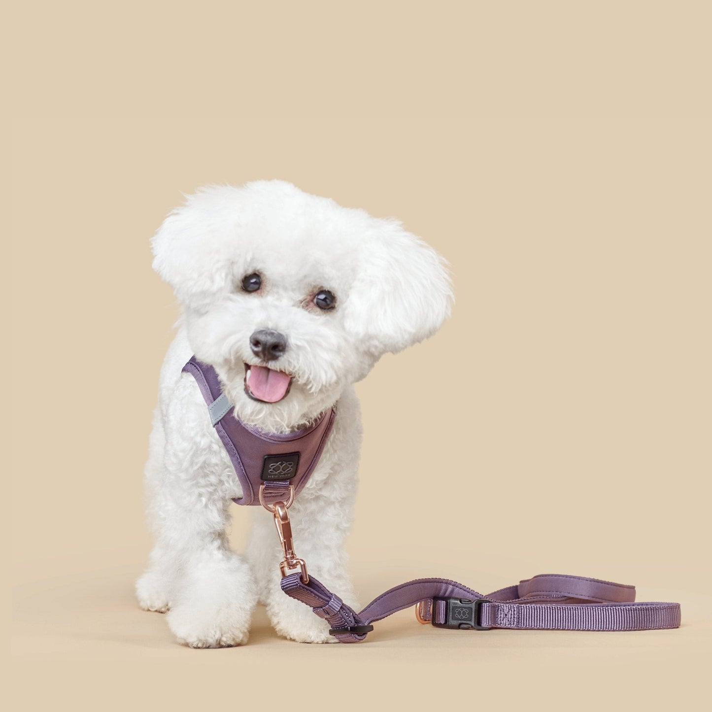 3-in-1 City Dog Leash - Lilac Gray