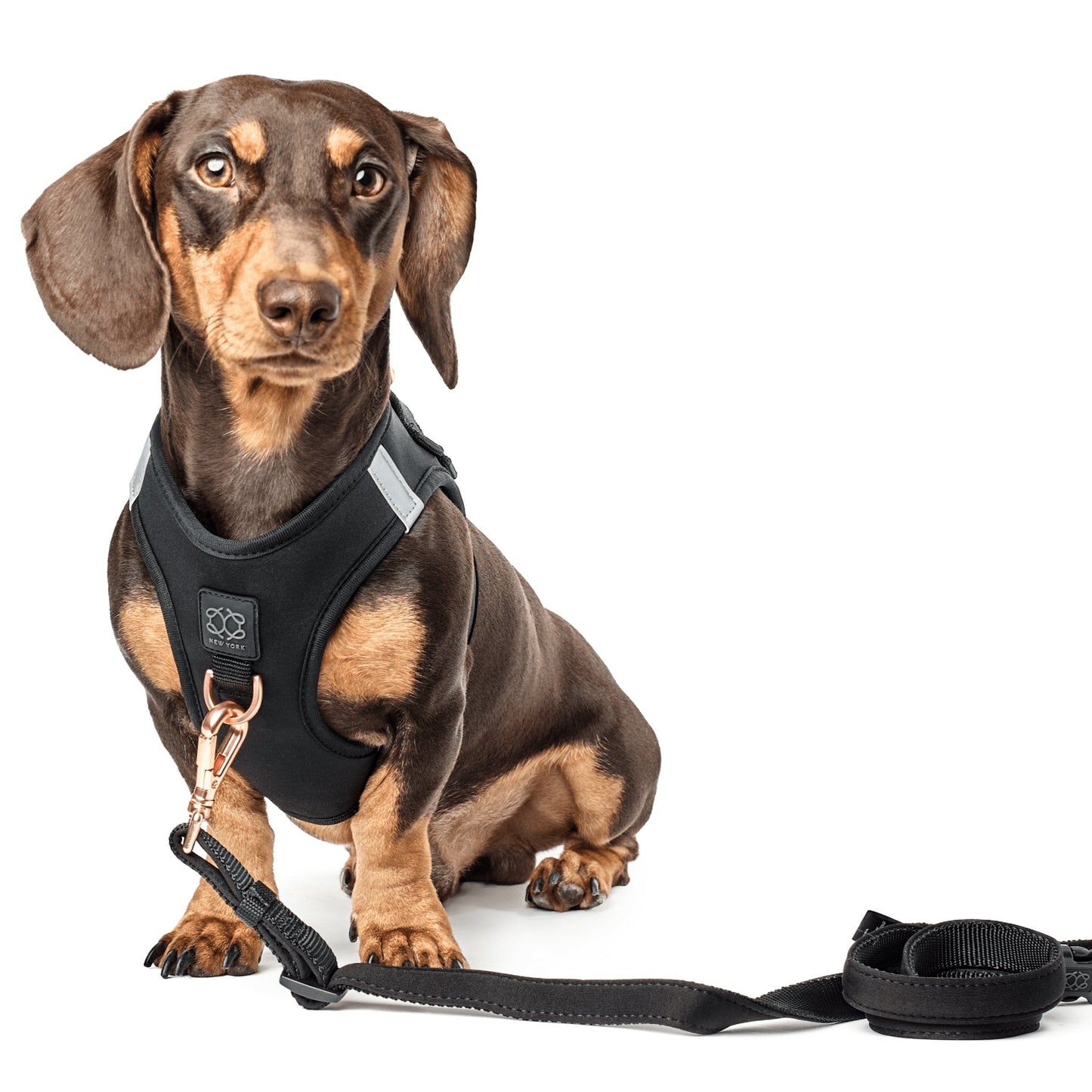 3-in-1 City Dog Leash - Black